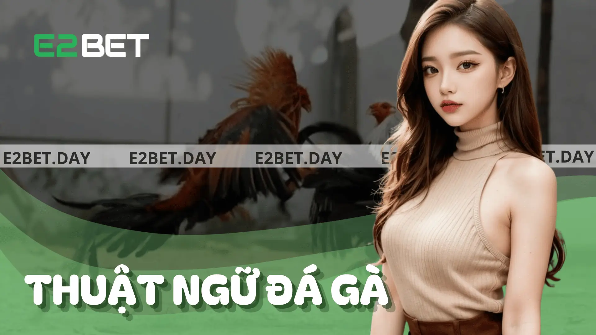 thuật ngữ đá gà